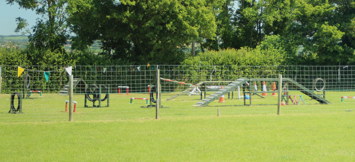 Dog Training Classes held between Bristol and Bath, in Keynsham ...
