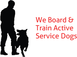 We train and board active service dogs